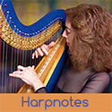 Atlanta, Georgia Gay Wedding Harpist