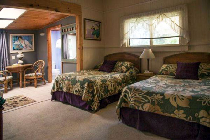 Aloha Junction B & B - Alpine room
