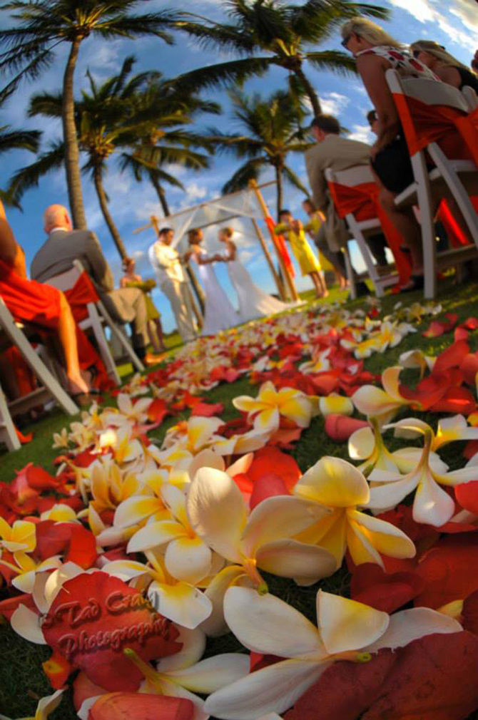 Purple orchid Wedding - Path of red and yellow orchids leading to the alter same-sex wedding ceremony