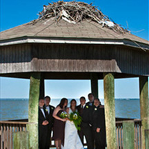 Photographic Pages - Wedding party in gazebo