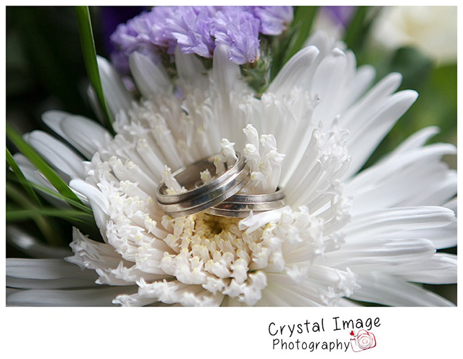 Crystal Image Photography Farmville Virginia