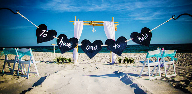 Lgbt Beach Wedding Ceremonies Beach Weddings Gulf Shores