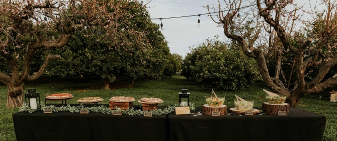 Phoenix, Arizona LGBT Wedding Catering Service - Freak Bros Pizza Wood fired pizza