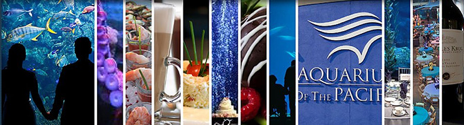 Aquarium of the Pacific LGBT Wedding Reception Venue in Long Beach California