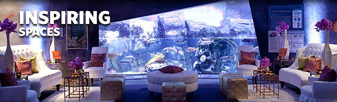 Aquarium of the Pacific LGBT Wedding Reception Venue in Long Beach California