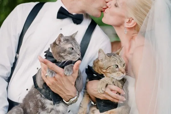Bespoke Ceremonies
Napa, California LGBT Marriage Officiant- Peggy Usak