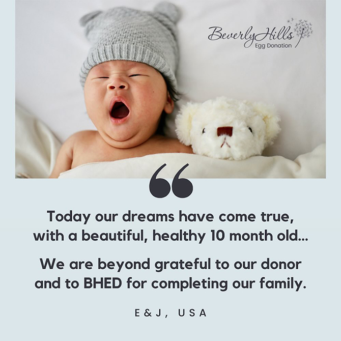 Beverly Hills Egg Donation
Beverly Hills, California LGBTQ+ Friendly Egg Donation