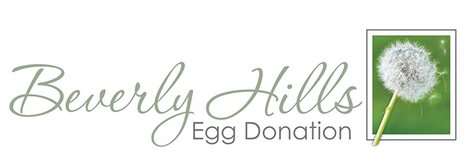 Beverly Hills Egg Donation
Beverly Hills, California LGBTQ+ Friendly Egg Donation