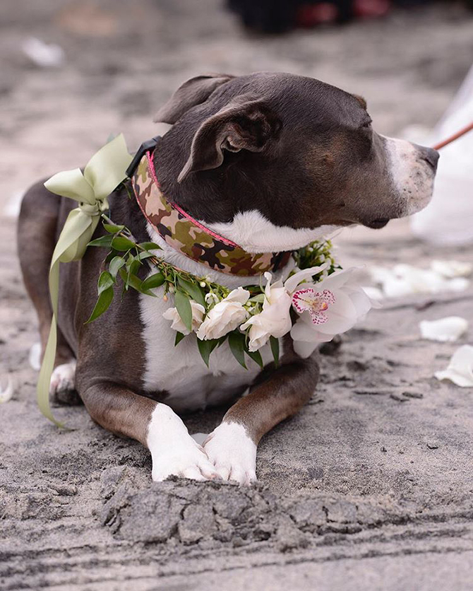 San Diego, CA LGBT Wedding Florist - BLOOMS design house
