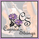 San Diego, California LGBT Wedding Musicians