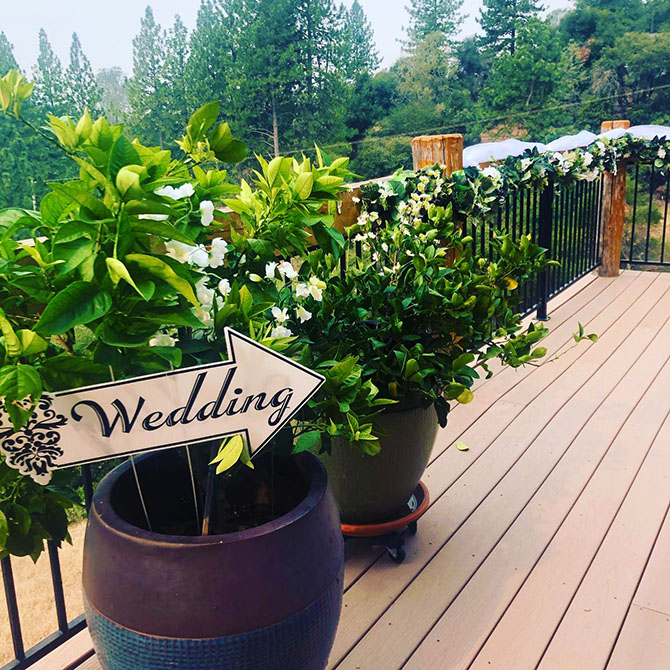 - Northern California - Murphys - San Joaquin - LGBT Wedding Packages - Courtwood Inn Bed and Breakfast