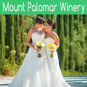 Mount Palomar Winery