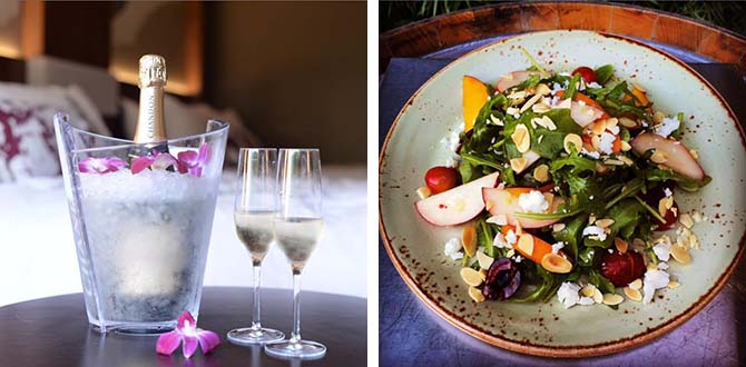 Napa Valley Marriott Hotel & Spa Gay Weddings Hotel in Napa California