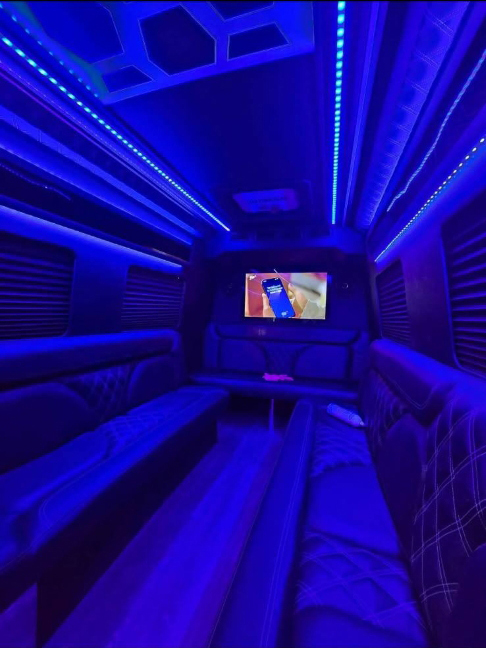 Starlite Limousines 
San Diego, California LGBTQ Wedding Limousine Services
