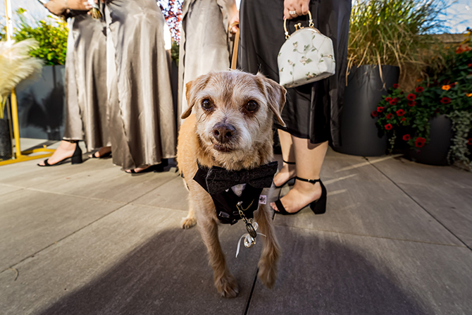 Bonnie Photo
Denver - Boulder, Colorado LGBT Wedding Photographer