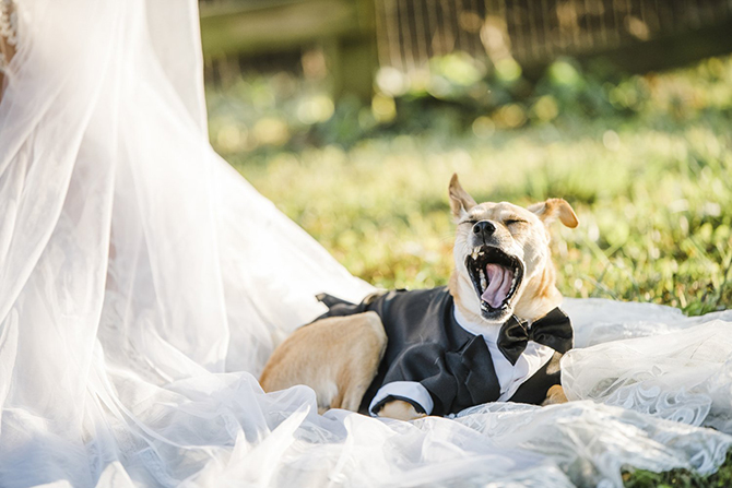 Denver, Colorado LGBT Wedding Photographer - Catherine Norwood Photo LLC