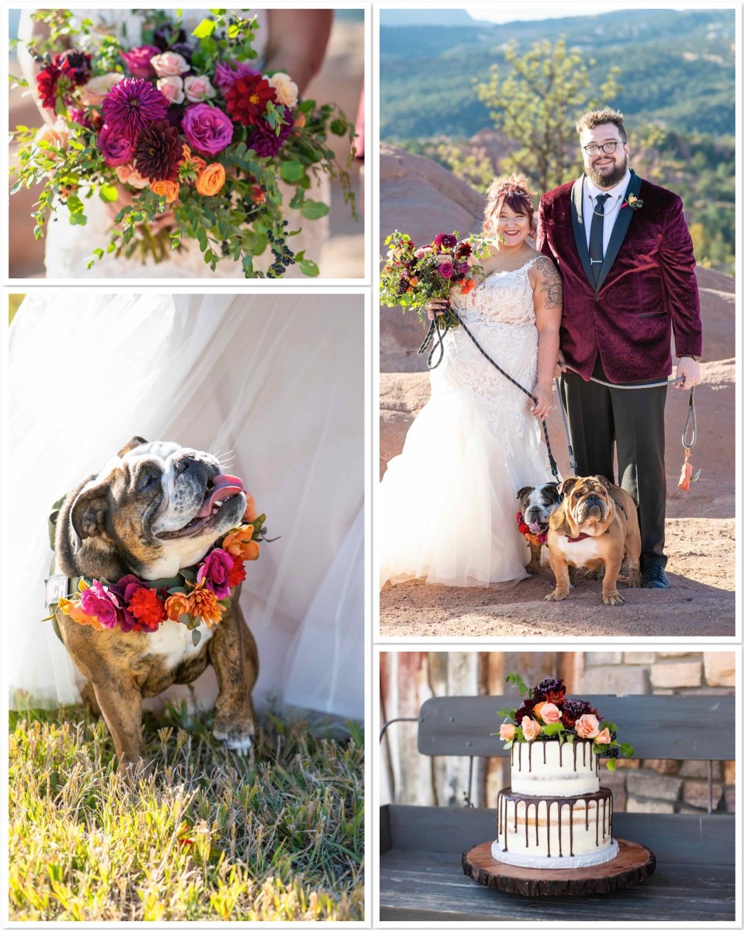 Custom Weddings of Colorado
Denver, Colorado LGBT Elopement & Micro-Wedding Packages