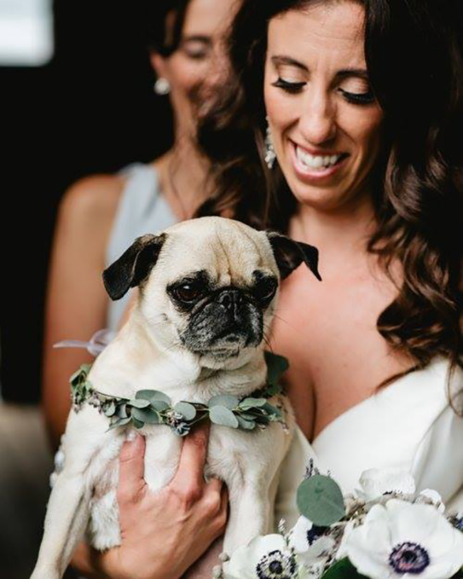 - Torrington, Connecticut LGBT Wedding Reception Venue - The Inn at Mount Pleasant