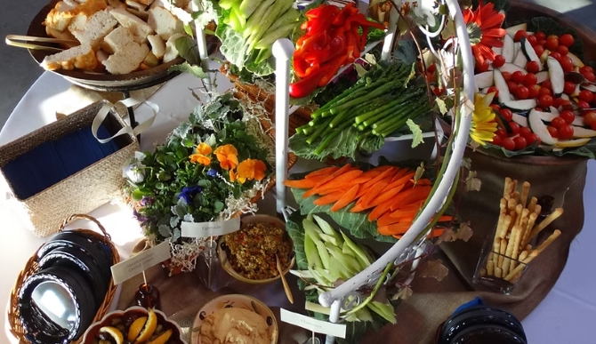 The Lace Factory
Deep River, Connecticut LGBT Wedding Reception Venue & Catering
