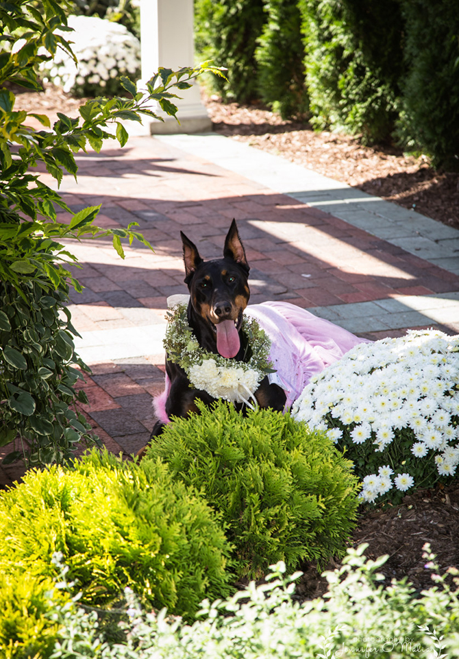 Manchester CT  LGBT Wedding  Venue  Wicham Park Garden 