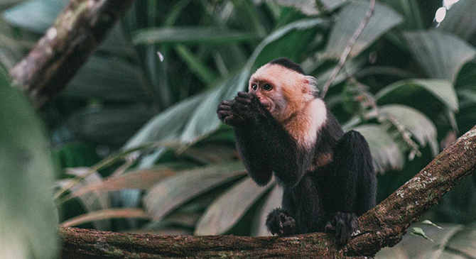 Villa Blanca Cloud Forest Hotel + Retreat
San Ramon, Costa Rica LGBTQ Destination Weddings & Honeymoons