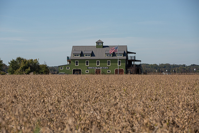 Sunflowers Rustic Wedding Barn - Thousand Acre Farm