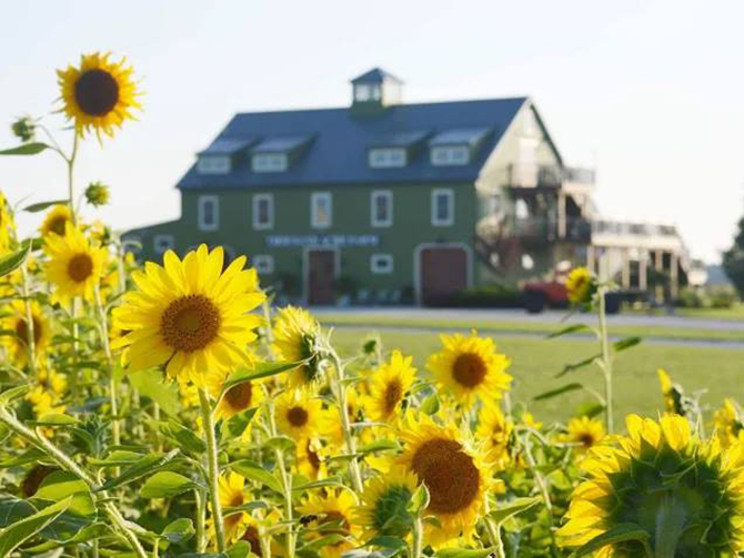 Waterfront Wedding Barn Delaware - Thousand Acre Farm