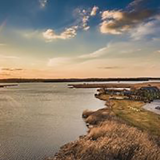 LGBT Wedding Venue in Delaware - Thousand Acre Farm