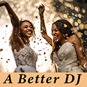 Palm Beach FL LGBT Wedding Disc Jockey