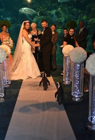 A Perfect Witness
Tampa, Florida LGBT Wedding Officiant
Tampa Bay Area