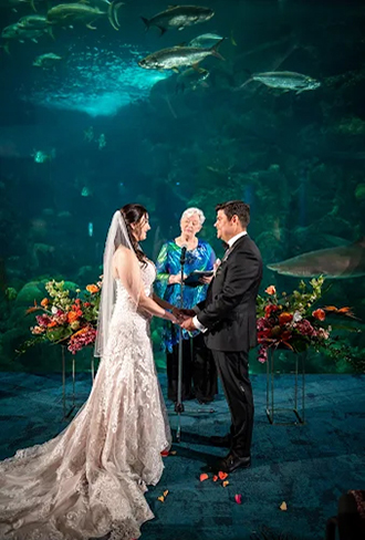 A Perfect Witness
Tampa, Florida LGBT Wedding Officiant
Tampa Bay Area