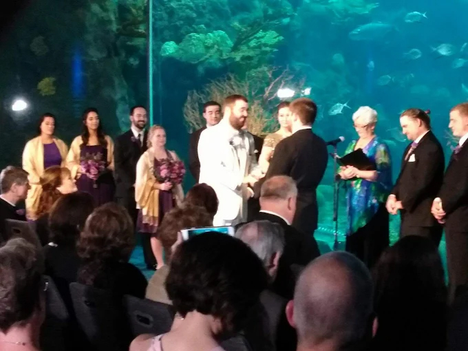 A Perfect Witness
Tampa, Florida LGBT Wedding Officiant
Tampa Bay Area