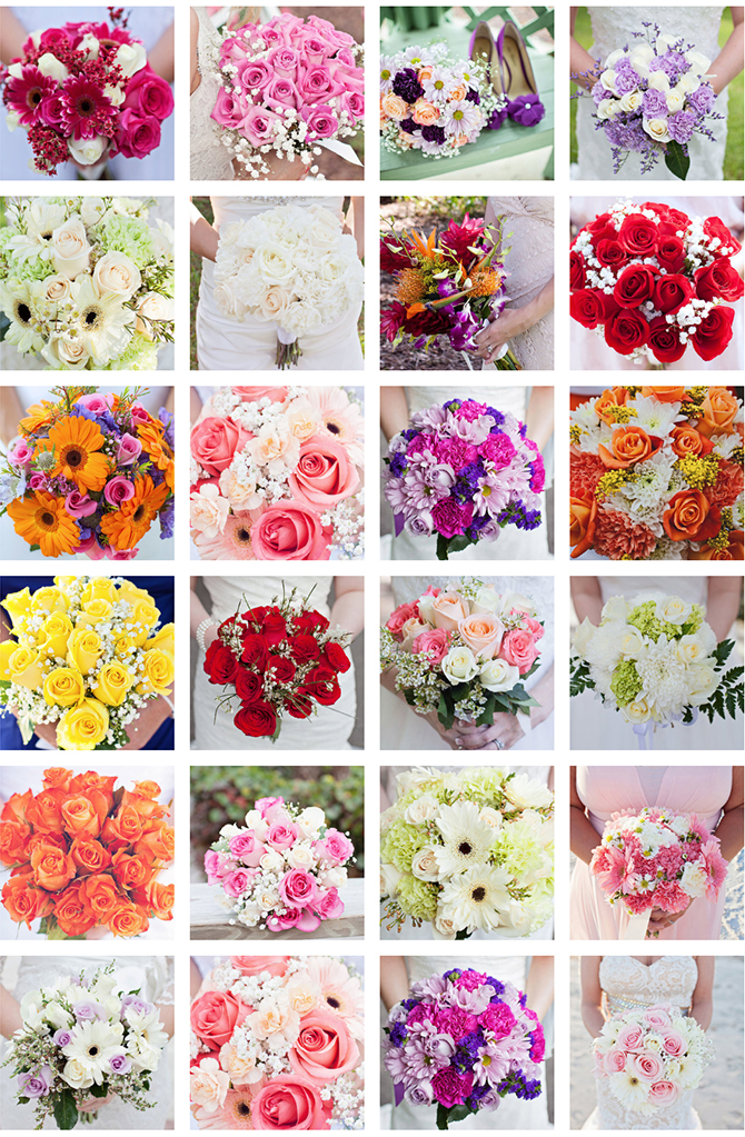 - LGBT Beach Wedding Packages