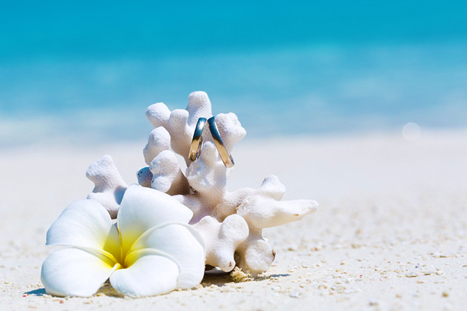 Beach Wedding Rings - LGBT Cruise Planners