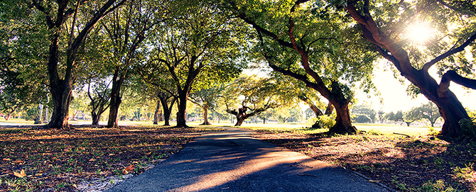 - Miami Springs FL LGBT Wedding Reception Site - Curtiss Mansion