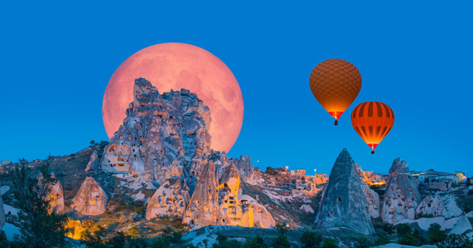 LGBT Vacation Consultants - DMor Voyage II, LLC - Jacksonville, Florida