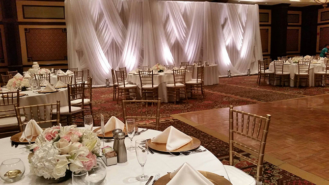 - Jacksonville, FL LGBT Wedding Planner Decor - Florida Wedding Supplies