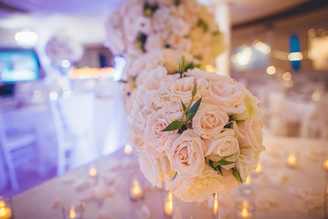 - Jacksonville, FL LGBT Wedding Planner Decor - Florida Wedding Supplies