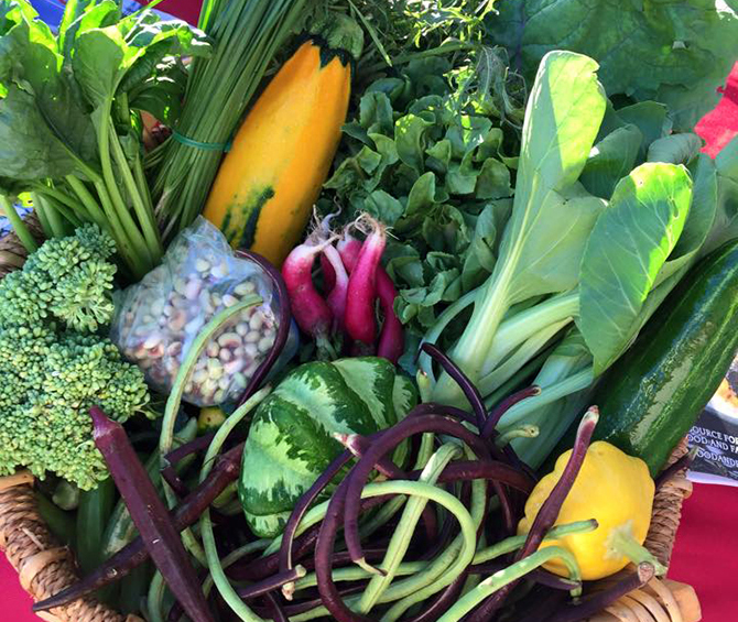 - South Florida Farm Weddings - Kai Kai Farm - Martin County - Indiantown
