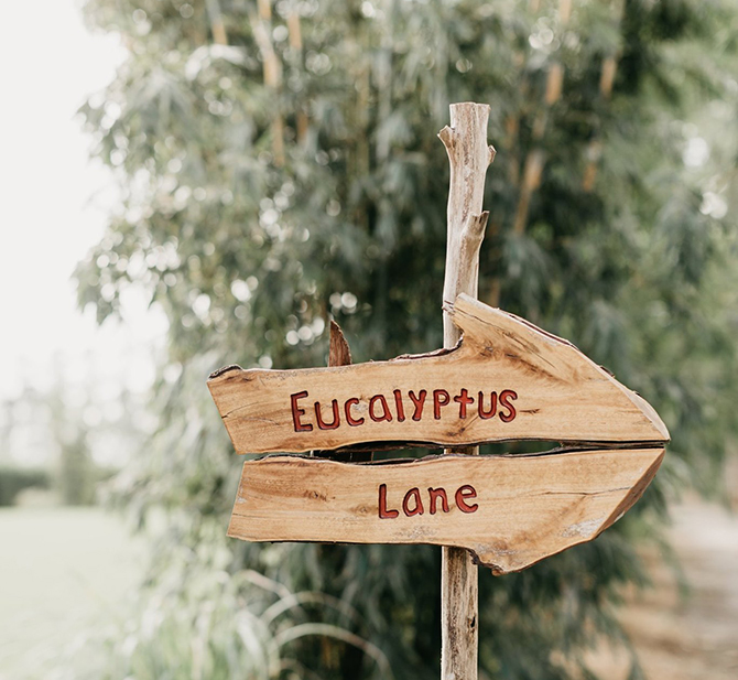 - South Florida Farm Weddings - Kai Kai Farm - Martin County - Indiantown
