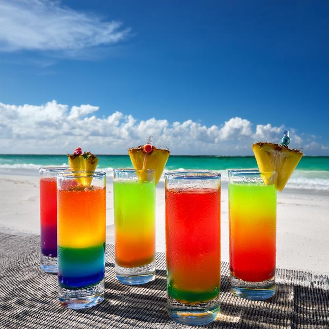 Pop Up Pourer House
Southwest Florida LGBT Wedding Bartender Service