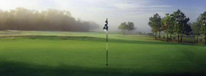 - Hillsborough - Valerico, Florida LGBT Weddings - River Hills Country Club