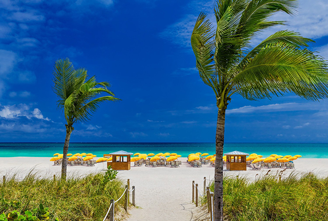 - Royal Palm South Beach Miami - LGBT Wedding Reception Venue