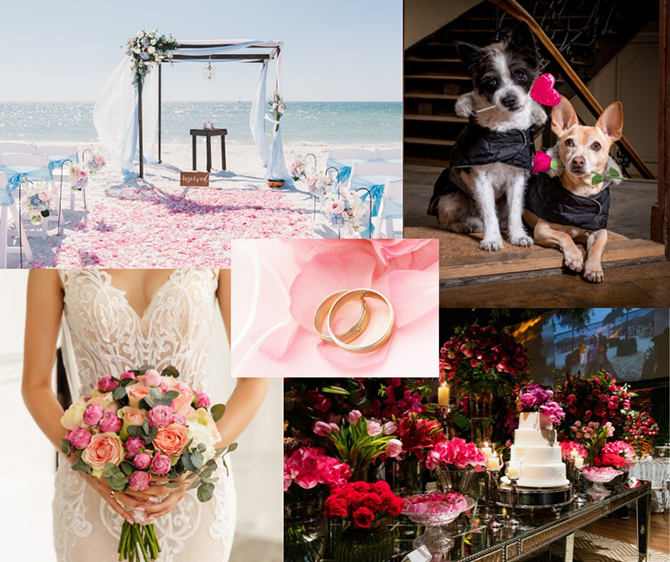 Simply Wed LLC
Stuart, Florida LGBT Wedding Officiant & Notary