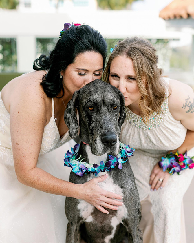 The Birchwood
St. Petersburg, Florida LGBT Wedding Reception Venue
