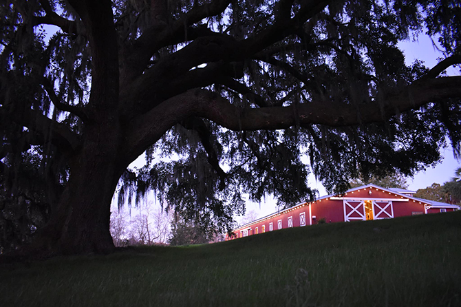 Savannah, Georgia LGBT Wedding Venue - Red Gate Farms