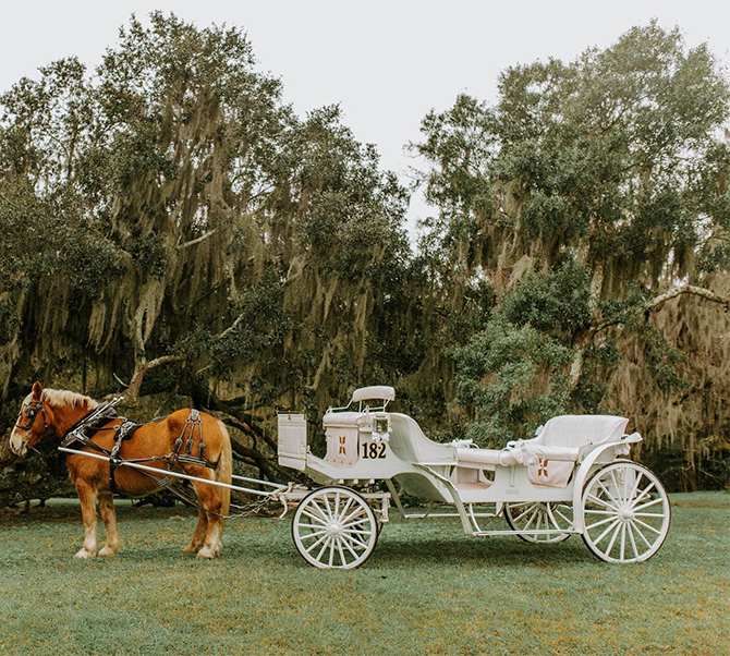 Savannah, Georgia LGBT Wedding Venue - Red Gate Farms