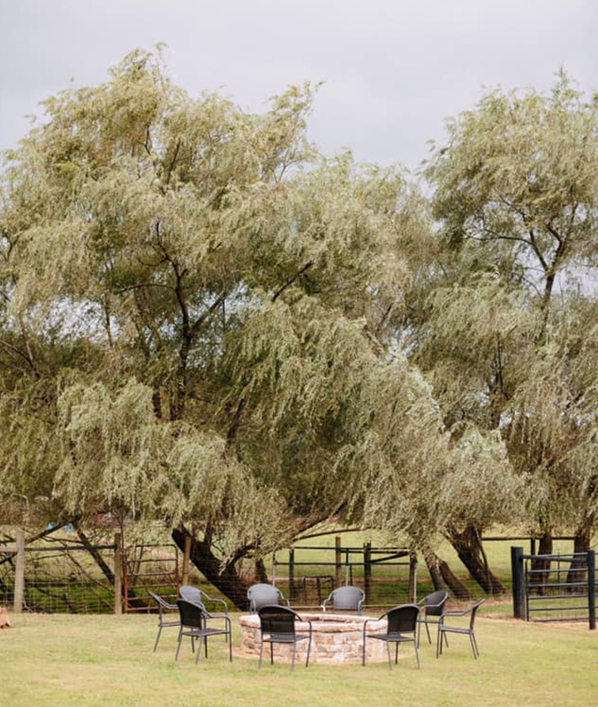 Fire pit - North Georgia Mountains - LGBT Wedding Venue - Willow Creek Farm