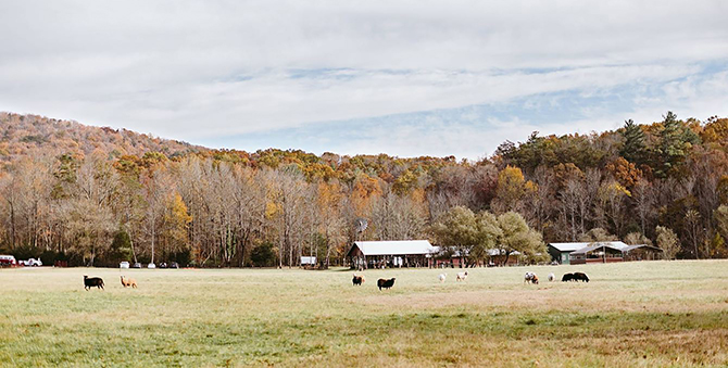 Sheep Farm - North Georgia Mountains - LGBT Wedding Venue - Willow Creek Farm