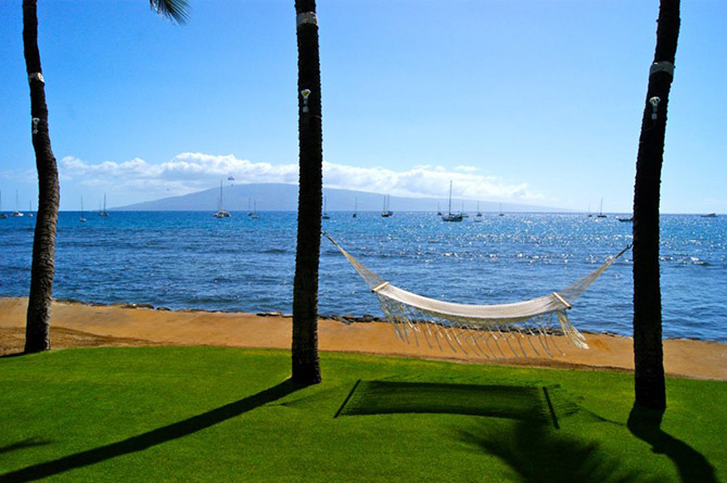 Beach Hammock between palm trees Lahaina Oceanfront Estate
